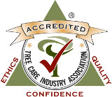 TCIA-LOGO-small